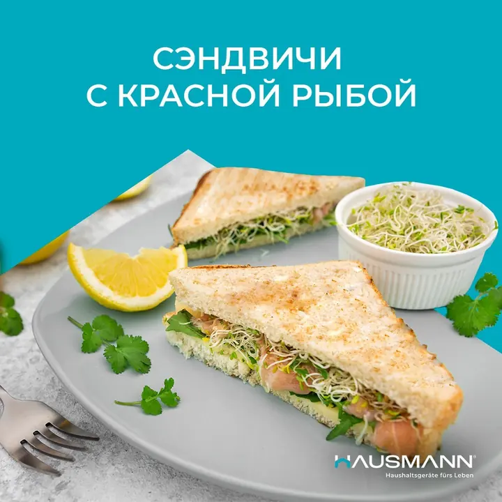 Мульти наубайшыдағы қызыл балық қосылған сэндвичтер
